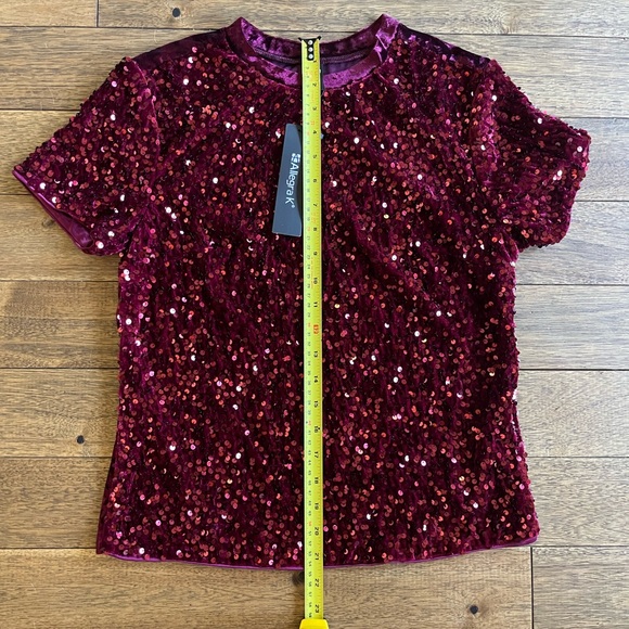 Allegra K Velvet Sequin Short Sleeve Top, XS - Picture 7 of 7